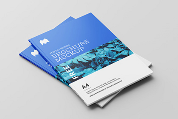 CATALOGUES
